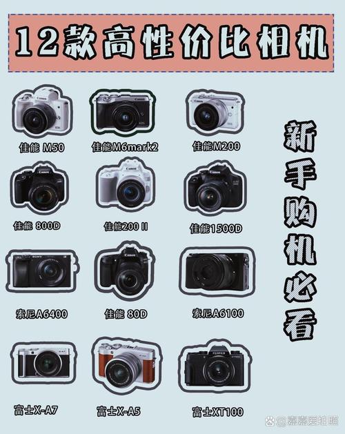 学生新手适合用什么相机，学生新手适合用什么相机拍照-第2张图片-优品飞百科