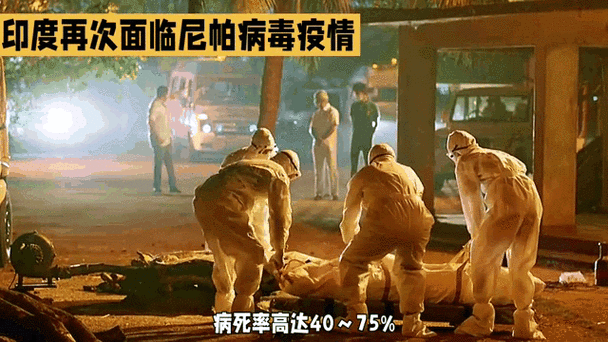 世界疫情新动态，世界疫情最新动态数据？-第2张图片-优品飞百科