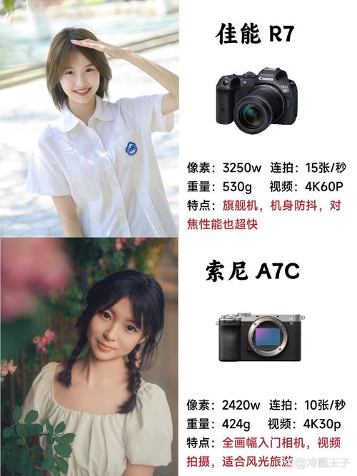 数码相机佳能和索尼哪个好，佳能相机与索尼相机哪种好-第5张图片-优品飞百科