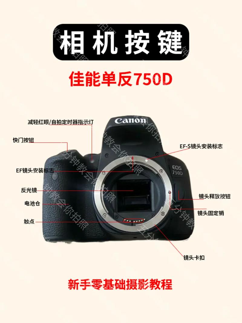 佳能750d是什么时候上市的？佳能750d属于什么系列？-第8张图片-优品飞百科