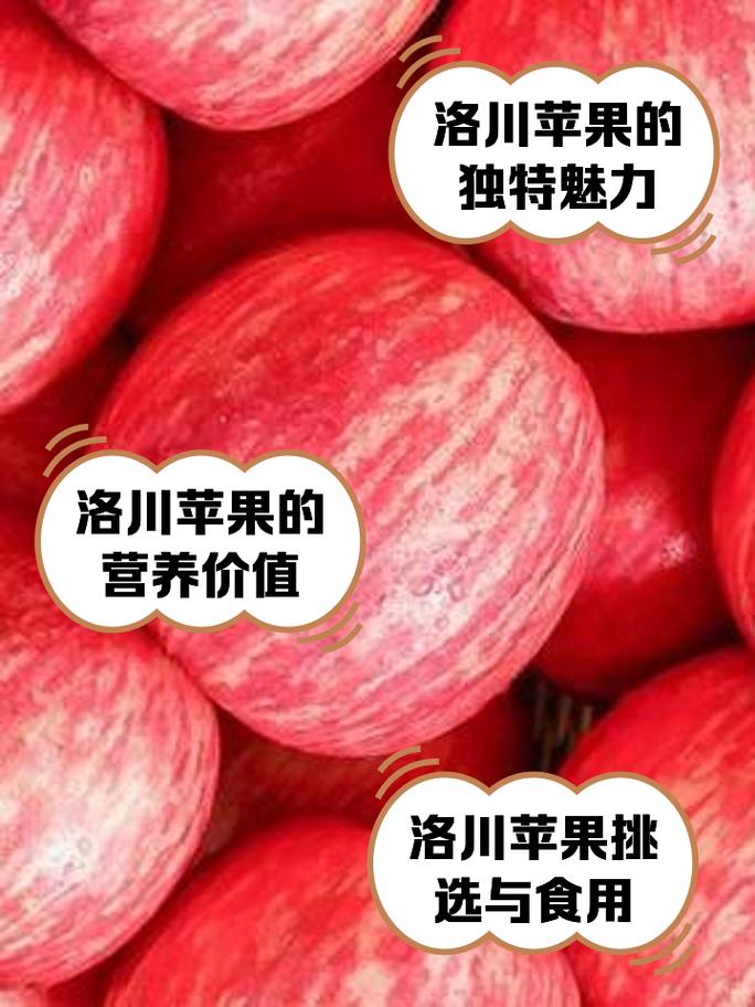 今年后期苹果费用会涨吗，今年的苹果会涨价吗-第7张图片-优品飞百科