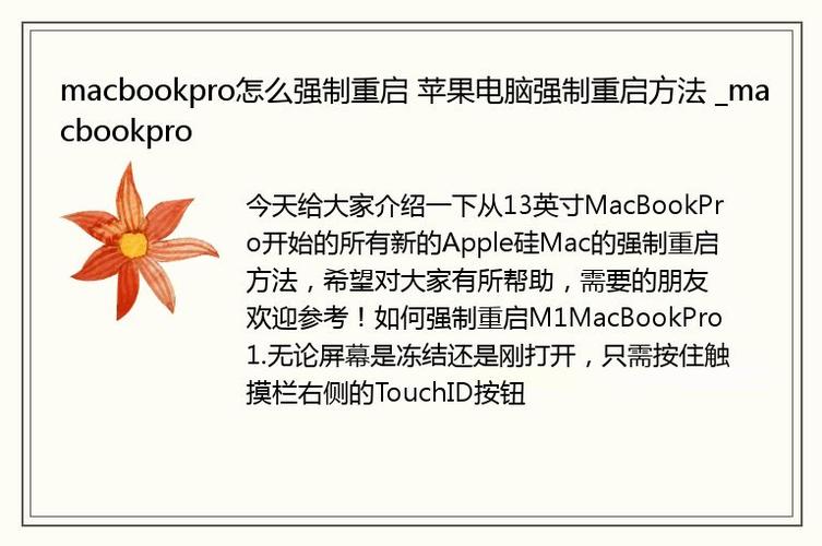 苹果笔记本强制重启方法，苹果黑屏按三个键恢复？-第2张图片-优品飞百科