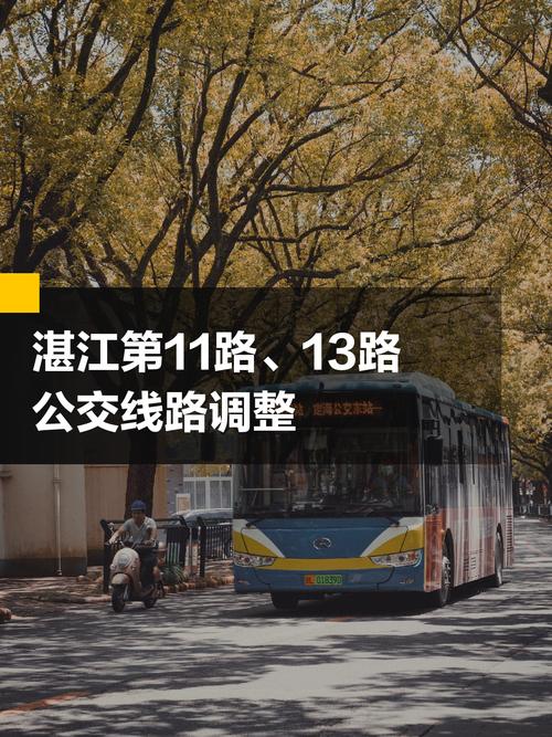 湛江机场疫情，湛江机场疫情管控情况-第4张图片-优品飞百科