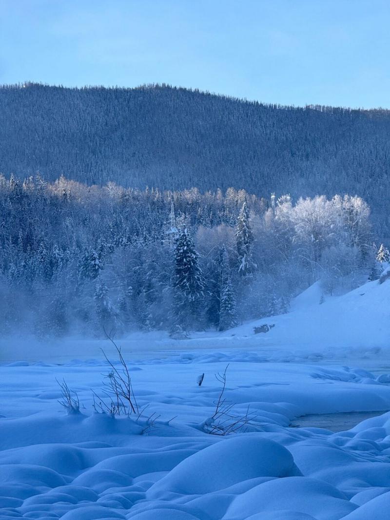 华为mate20有长焦镜头吗？mate20pro长焦有光学防抖吗？-第7张图片-优品飞百科