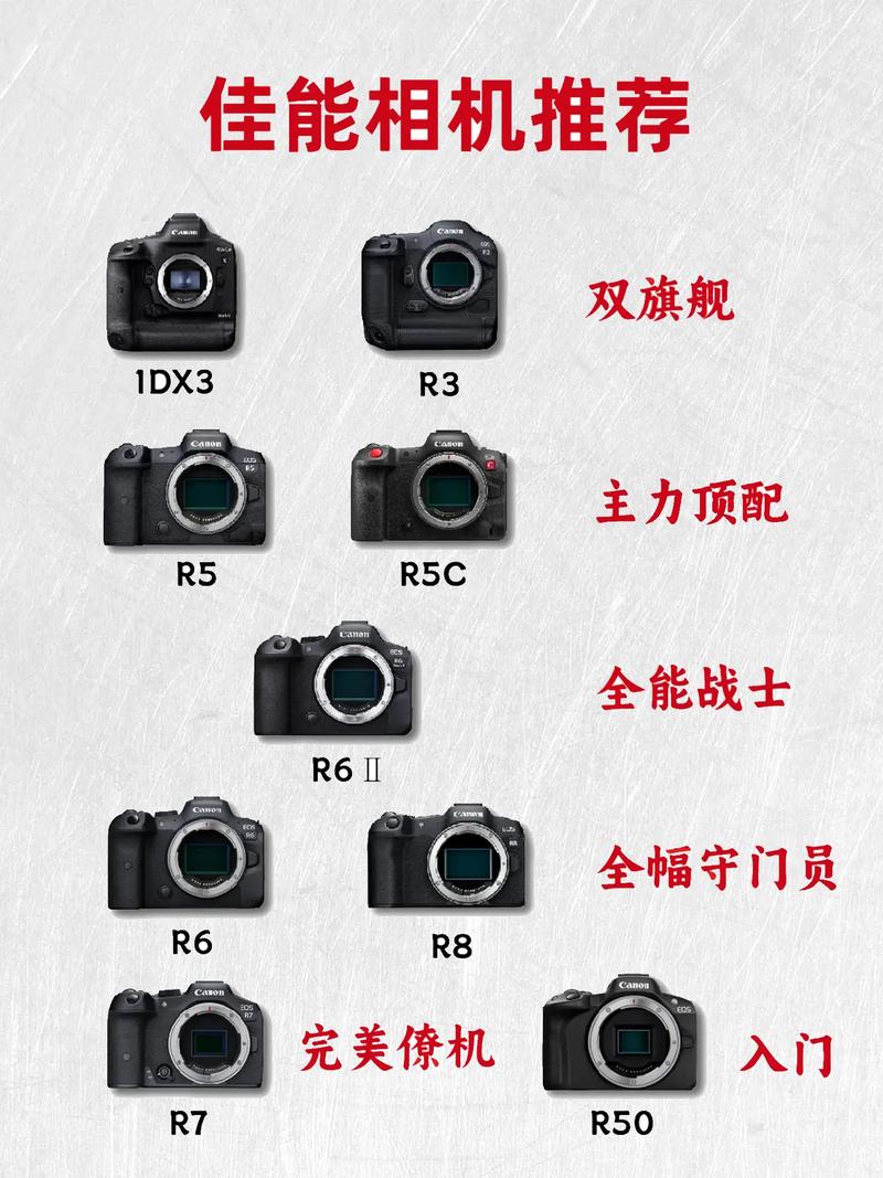 尼康微单有相位对焦吗，尼康单反相机对焦模式选取-第2张图片-优品飞百科