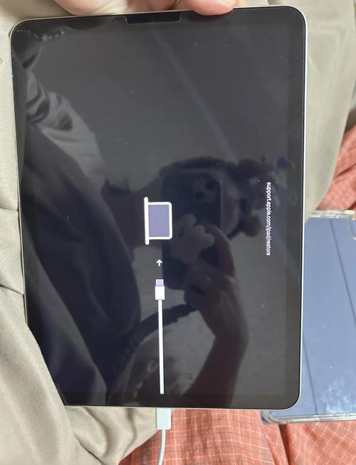 ipad开不了机了怎么回事,ipad开不了机无反应-第6张图片-优品飞百科 ipad开不了机了怎么回事,ipad开不了机无反应-第6张图片-优品飞百科