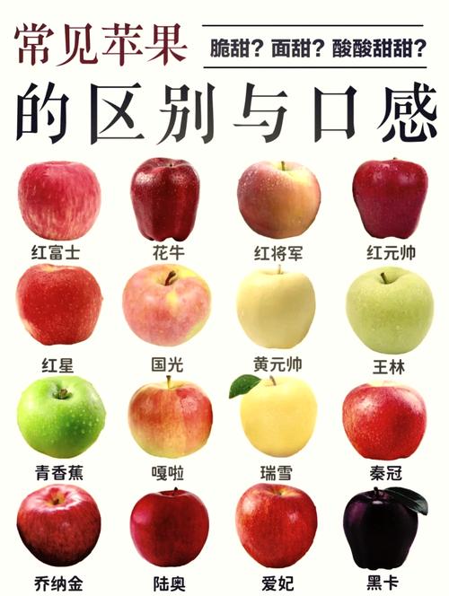 比较好的苹果品种排名，比较好的苹果品种排名前十-第1张图片-优品飞百科