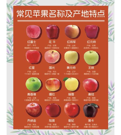 比较好的苹果品种排名，比较好的苹果品种排名前十-第4张图片-优品飞百科