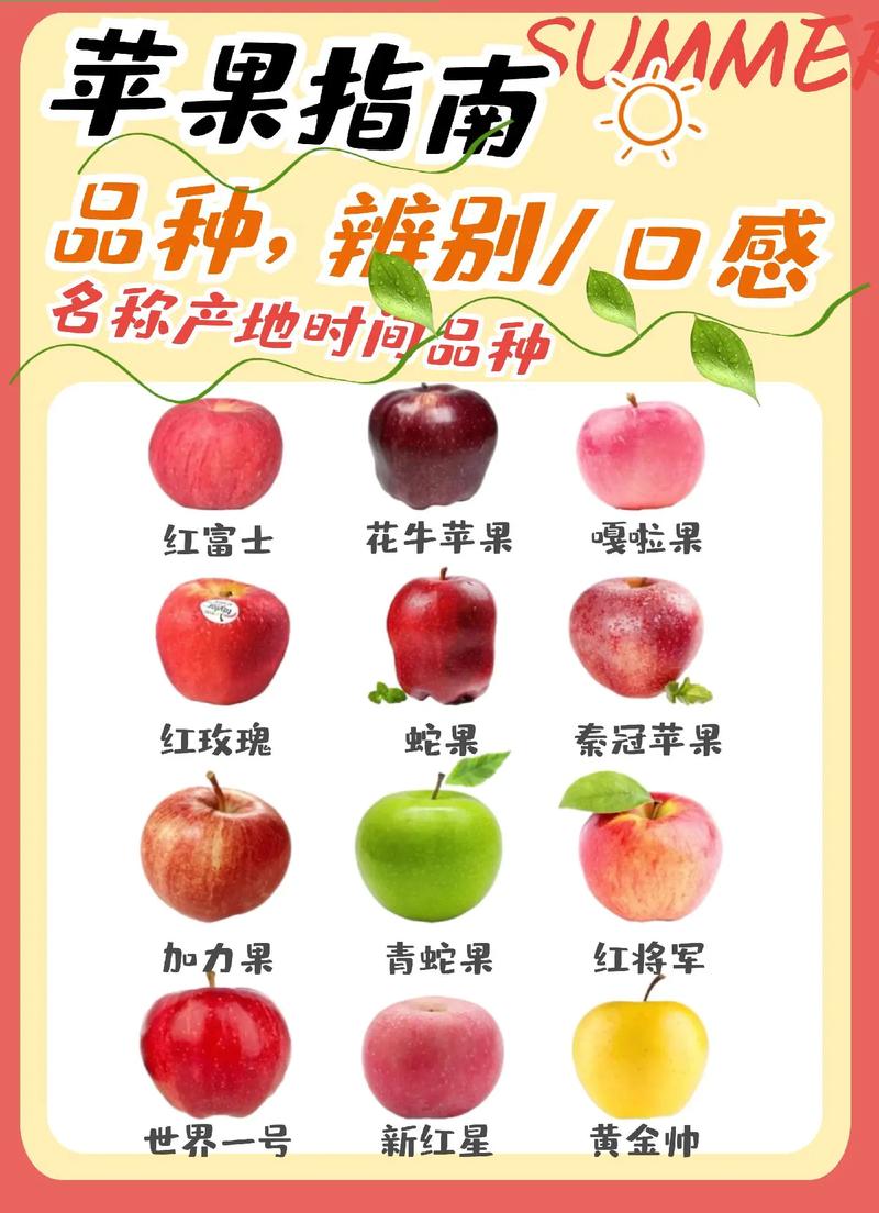 比较好的苹果品种排名，比较好的苹果品种排名前十-第7张图片-优品飞百科