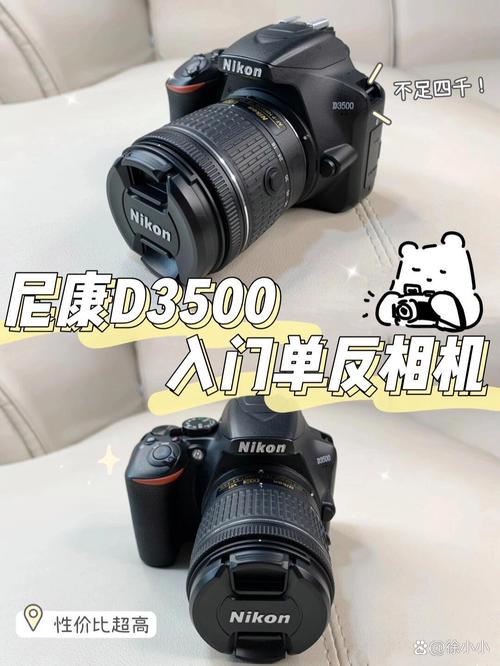 全画幅单反二手推荐，最便宜二手全画幅？-第7张图片-优品飞百科