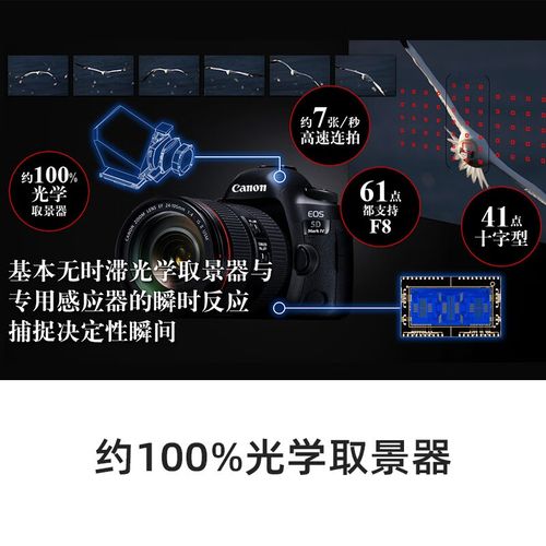 最新出的佳能新单反，佳能单反新款上市时间