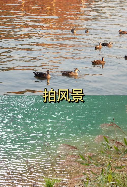 松下fz70相机多少钱,松下fz47相机怎么样-第5张图片-优品飞百科 松下fz70相机多少钱,松下fz47相机怎么样-第5张图片-优品飞百科