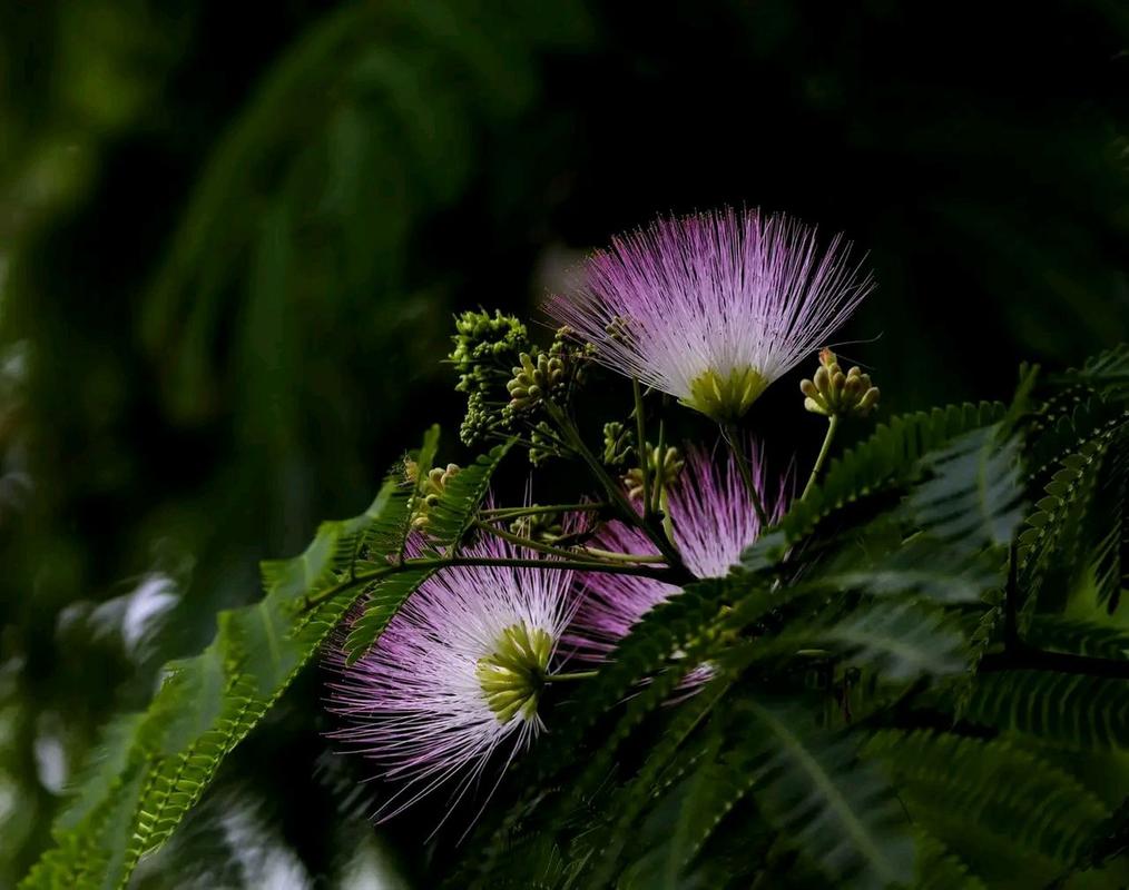 疫情过后随笔，疫情随记？-第4张图片-优品飞百科