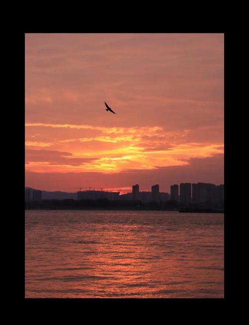 佳能850d有双重曝光功能吗，佳能850d可以拍二次曝光吗？-第3张图片-优品飞百科