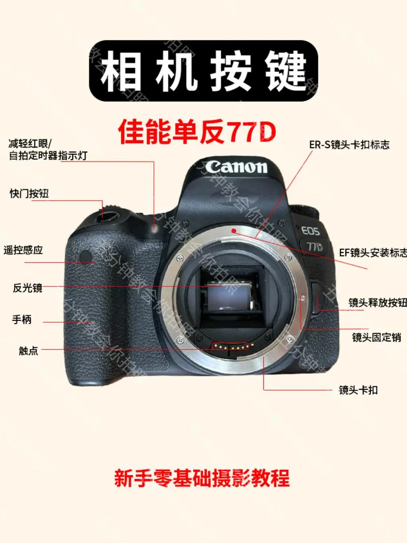 佳能77d详细参数，佳能77d性价比怎么样？-第6张图片-优品飞百科