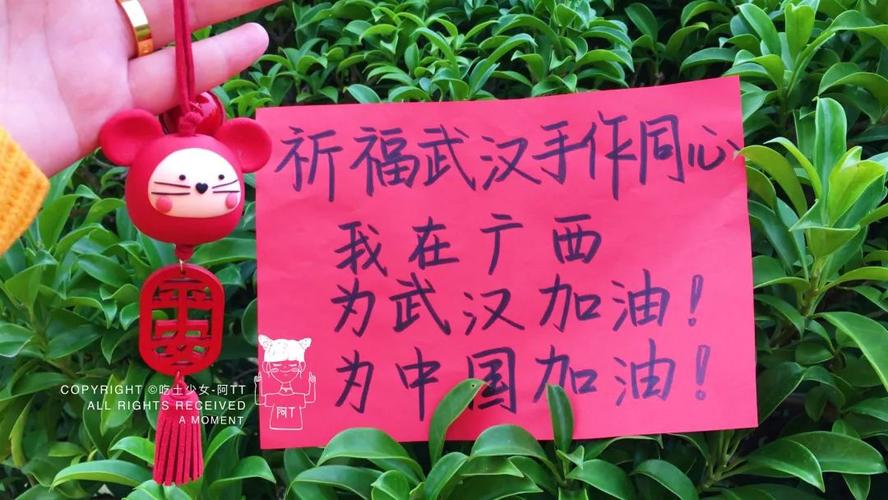 抗疫情如意，抗击疫情甘如意-第4张图片-优品飞百科