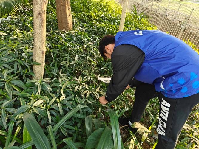 疫情和植物？我国抗击新冠肺炎实践给植物疫情防控有哪些启示?？-第4张图片-优品飞百科