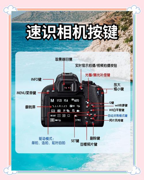 数码单反相机的握机姿势有哪几种？数码单反相机的握机姿势有哪几种类型？-第4张图片-优品飞百科