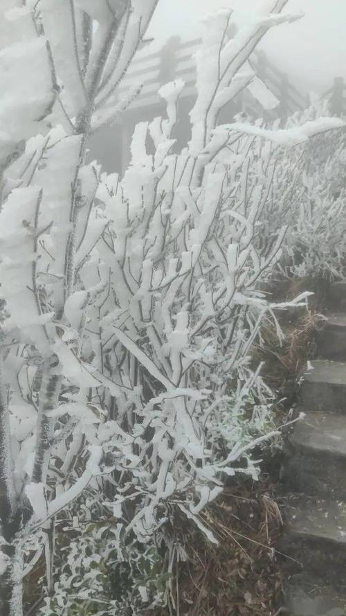 广东省东莞市天气？广东省东莞市天气预报一周7天？-第1张图片-优品飞百科