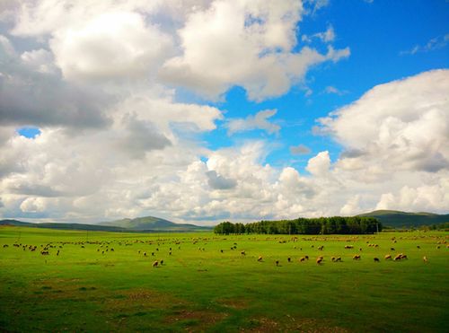 牙克石市天气预报，牙克石天气预报天气报-第2张图片-优品飞百科