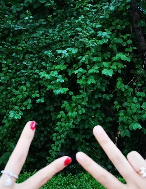 荣耀10和p20哪个好？荣耀10对比p20区别？-第6张图片-优品飞百科