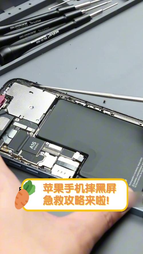 iphone7摔了一下摄像头黑屏修要多少钱，苹果7p摔了摄像头黑屏修一下多少钱？-第3张图片-优品飞百科