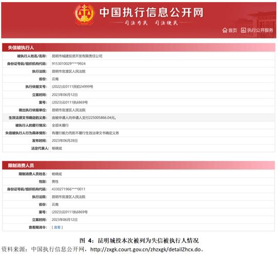 锤子科技天眼查，锤子科技公司简介？-第2张图片-优品飞百科