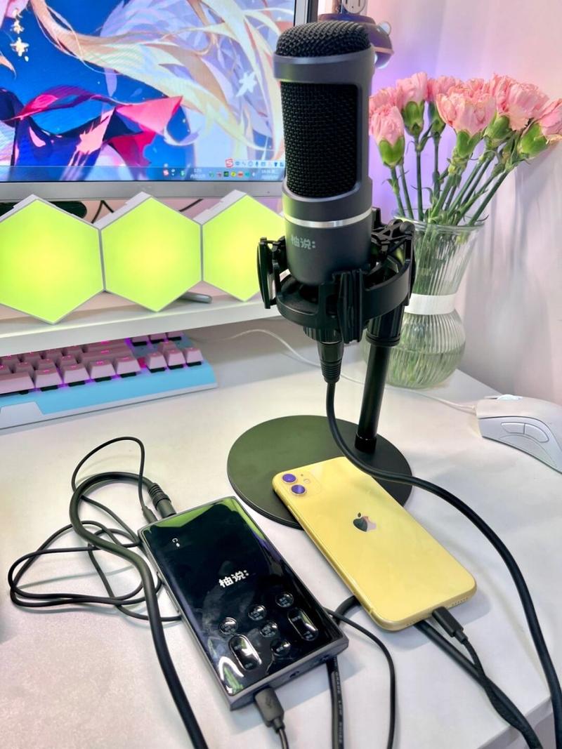 现在电脑有必要配独立声卡吗？电脑有必要买独立声卡吗？-第7张图片-优品飞百科