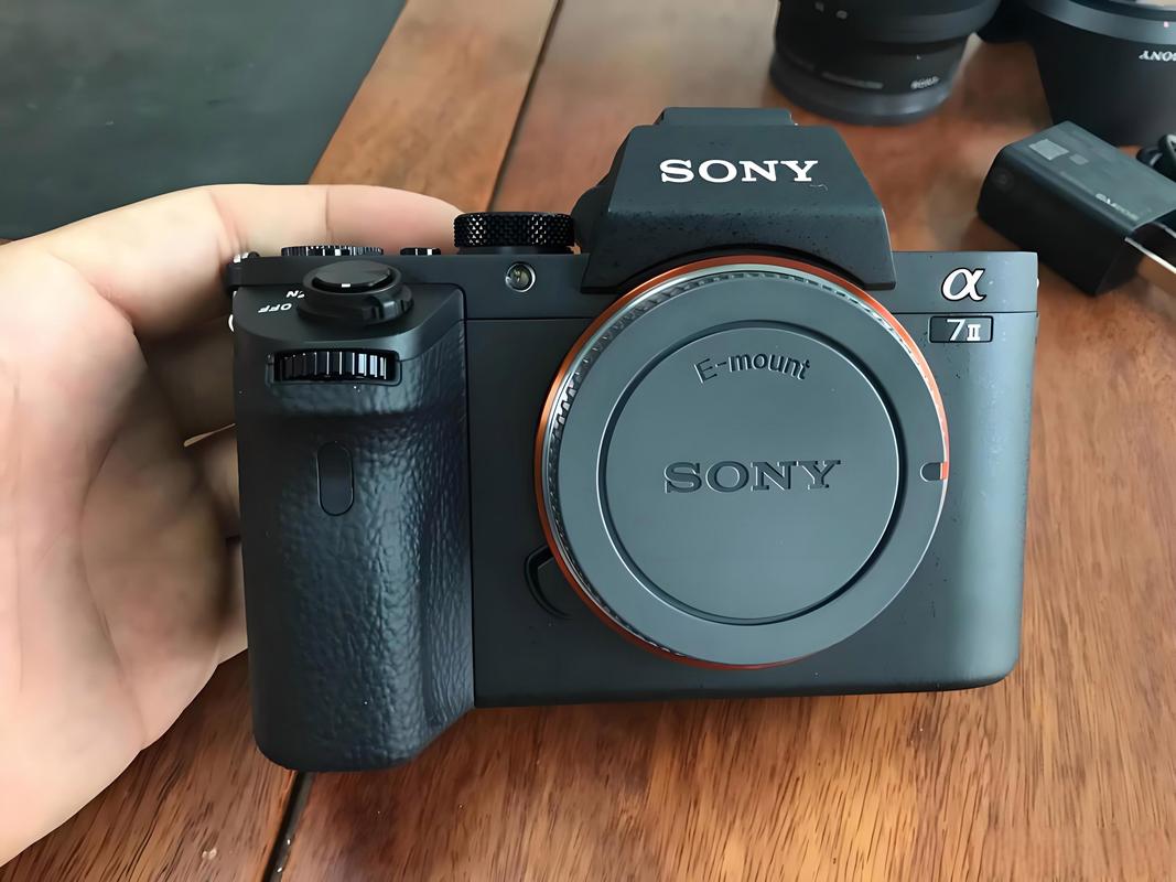 微单和单电哪个好？单反单电微单哪个好？-第3张图片-优品飞百科