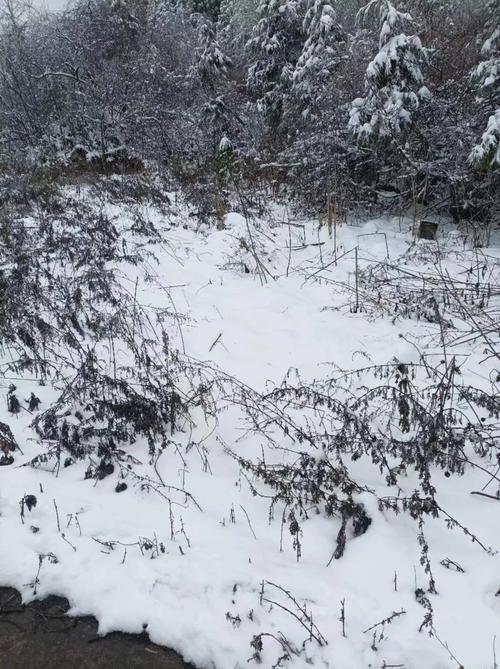 涪陵一周天气预报，涪陵一周天气预报七天查询？-第4张图片-优品飞百科