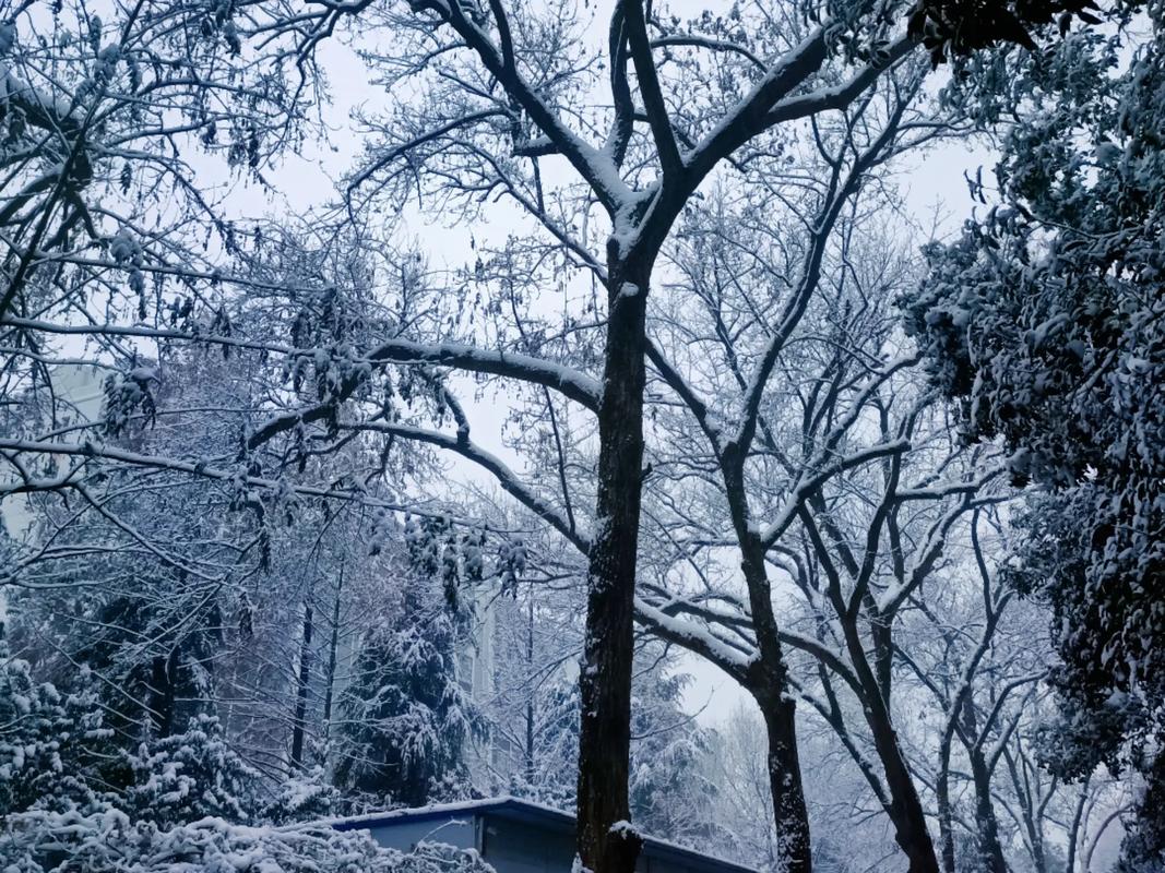 徐州天气预报查询，徐州天气预报查询一周15天天气预报-第3张图片-优品飞百科