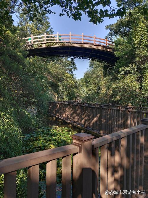 徐州天气预报查询，徐州天气预报查询一周15天天气预报-第5张图片-优品飞百科