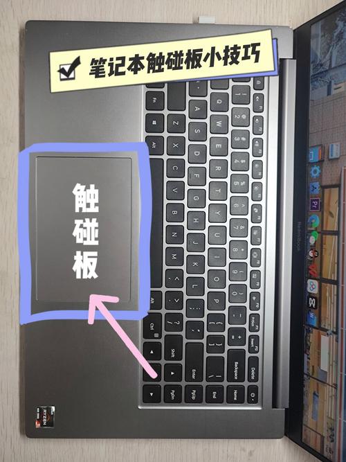 asus笔记本触摸板怎么关闭，asus笔记本电脑怎么关闭触摸屏？-第6张图片-优品飞百科