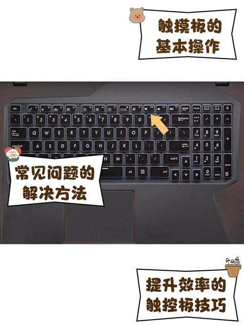 asus笔记本触摸板怎么关闭，asus笔记本电脑怎么关闭触摸屏？-第8张图片-优品飞百科