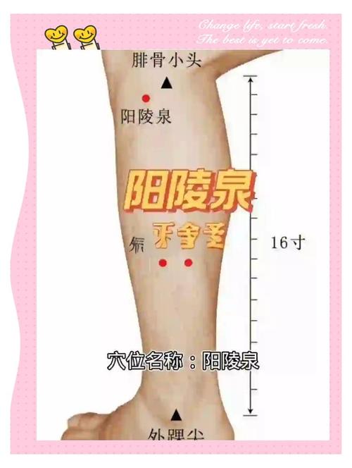 新西兰疫情53例，新西兰疫情实时动态？-第6张图片-优品飞百科