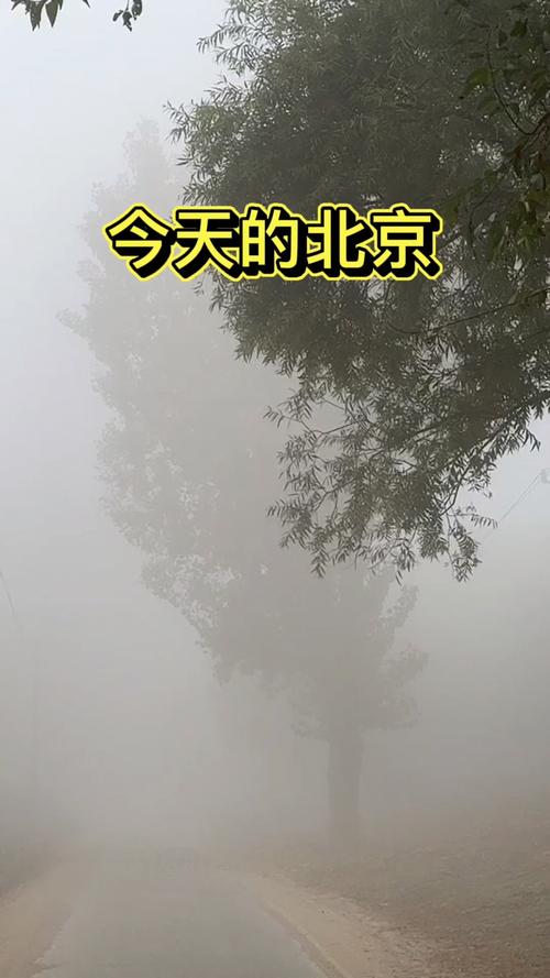北京市昌平区天气，明日起大暴雨天气预报？-第3张图片-优品飞百科