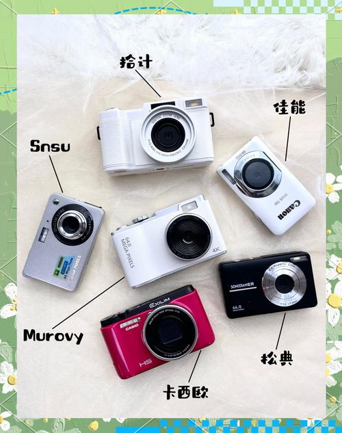 翻转屏ccd相机推荐？相机翻转屏容易坏吗？-第3张图片-优品飞百科