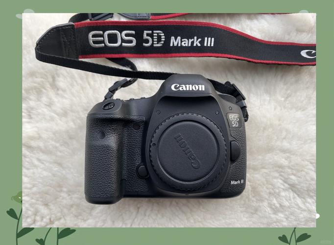 佳能单反5d3费用，佳能5d三费用-第3张图片-优品飞百科