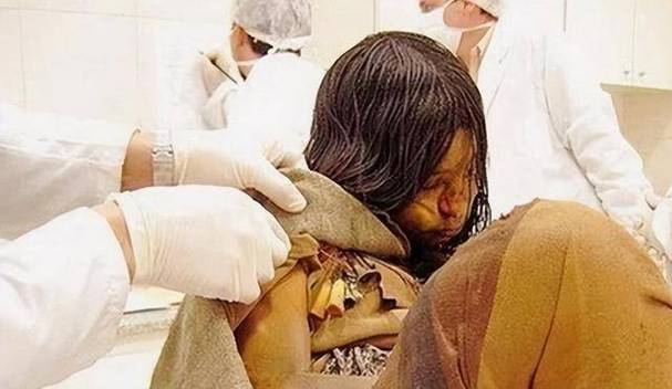 疫情对于猫价，疫情对进口猫粮的影响？-第5张图片-优品飞百科