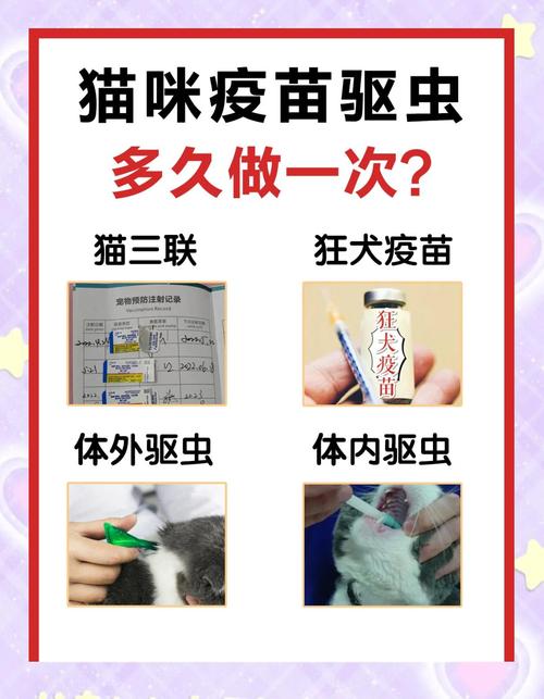 疫情对于猫价，疫情对进口猫粮的影响？-第6张图片-优品飞百科