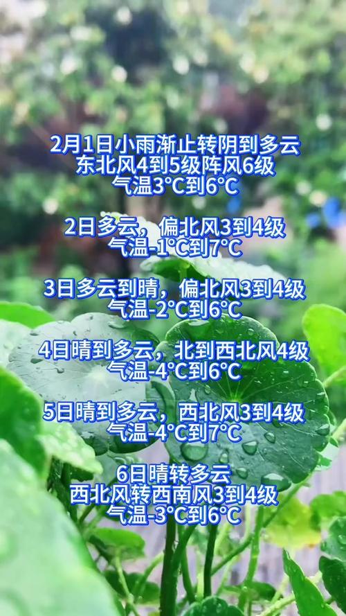 莆田天气预报一周，莆田天气预报一周 7天-第1张图片-优品飞百科