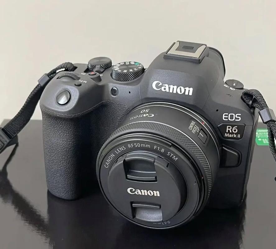 佳能70d和佳能6d哪个好，佳能70d和佳能6d取舍？-第2张图片-优品飞百科