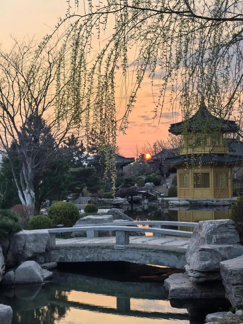 烟台疫情规定，烟台疫情控制-第6张图片-优品飞百科