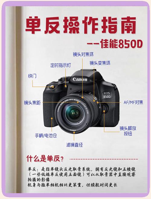 佳能最值得买的红圈，佳能最值得买的红圈是什么？-第7张图片-优品飞百科