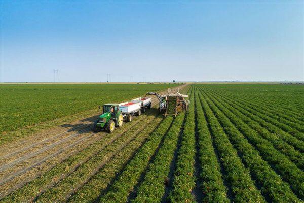 疫情暴富行业，疫情下爆发的行业-第4张图片-优品飞百科