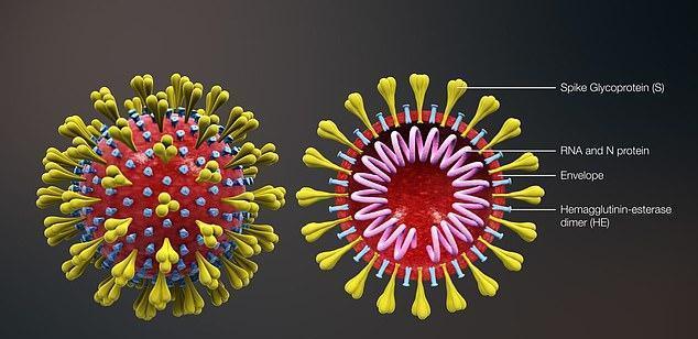 全国疫情公开，全国疫情功态？-第6张图片-优品飞百科