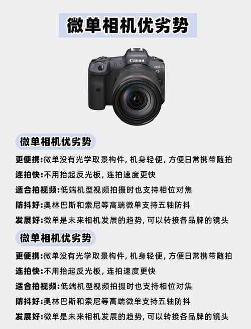 微单就是无反相机吗，微单和单反无反的区别是什么-第2张图片-优品飞百科