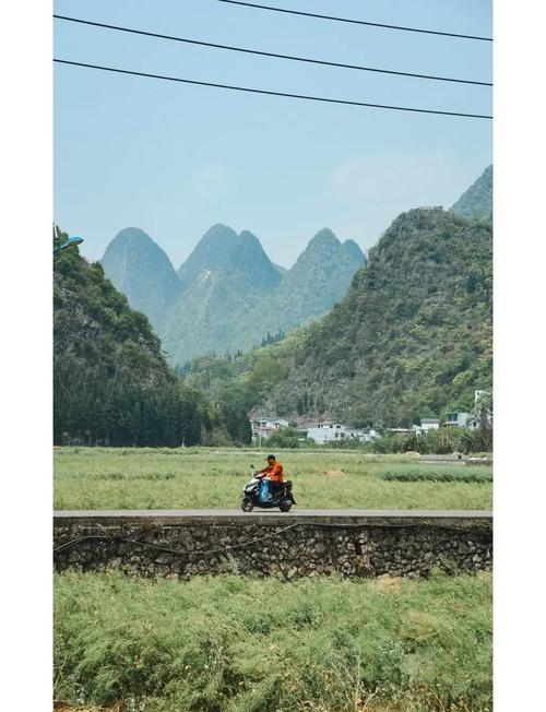 悉尼疫情人数,悉尼疫情2021年最新数据-第3张图片-优品飞百科 悉尼疫情人数,悉尼疫情2021年最新数据-第3张图片-优品飞百科