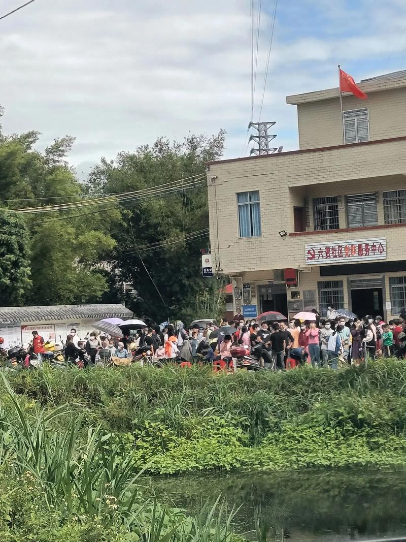 凤岗疫情区？凤岗新冠肺炎最新消息？-第5张图片-优品飞百科