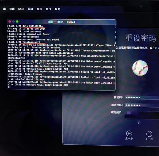 toshiba笔记本电脑密码忘了怎么办的简单介绍-第4张图片-优品飞百科